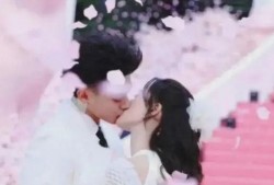 黄子韬美国爆料视频大全