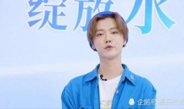 关于鹿晗最近的爆料新闻,爆料新闻背后的真实故事