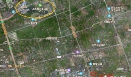 雪玲妃爆料图文大全最新,揭秘娱乐圈不为人知的秘密