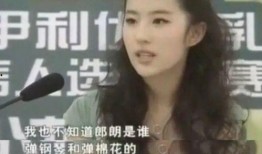 爆料刘亦菲整容了吗视频,视频爆料引发热议