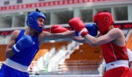 吃瓜娱乐拳击比赛视频,吃瓜群众视角下的精彩对决