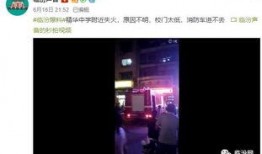 学校爆料视频真实,真实爆料视频背后的故事