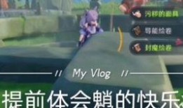 原神爷长大爆料视频,揭秘游戏背后不为人知的秘密与未来展望