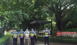 南宁芒果树爆料案件视频,揭秘背后惊人真相