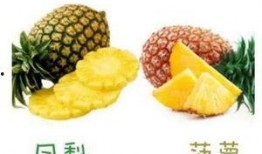 凤梨独家爆料视频大全,视频大全揭秘幕后真相