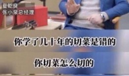 张小泉爆料者视频大全集,揭秘事件背后真相