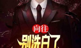 娱乐园爆料大佬是谁啊小说,揭开神秘面纱