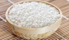 大米加工爆料视频大全下载,视频大全带你一探究竟