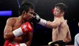 吃瓜娱乐拳击比赛视频,吃瓜群众视角下的精彩对决