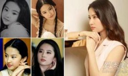 爆料刘亦菲整容了吗视频,视频爆料引发热议