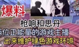 沈阳爆料主播是谁啊视频,视频背后的神秘人物是谁？