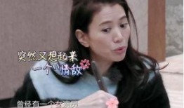 袁咏仪隐私爆料视频,揭秘娱乐圈背后的惊人真相