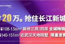 武汉热门新闻爆料视频,揭秘背后真相，聚焦城市焦点事件