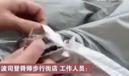 红星记者爆料视频大全集,深度揭秘社会热点事件