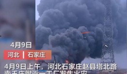 湖南工厂爆料视频最新,揭秘生产现场惊人内幕