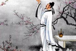 朝堂上的古代吃瓜小说免费阅读,吃瓜群众看朝堂