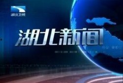 湖北广播电视台爆料新闻,揭秘重大新闻事件背后真相