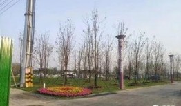 周口森林公园爆料视频最新