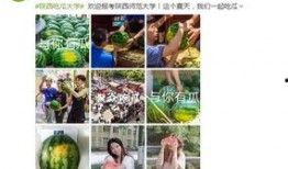 陕西免费吃瓜大学,免费吃瓜活动温暖校园