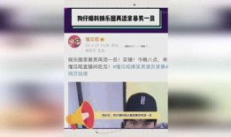 家暴男狗仔爆料视频大全,揭露黑暗面，唤起社会关注