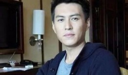 圈内爆料演员泰禾,娱乐圈新晋实力派演员，揭秘其崛起之路
