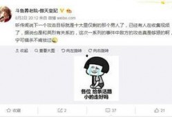 沈阳爆料主播是谁啊视频,视频背后的神秘人物是谁？