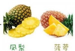 凤梨独家爆料视频大全,视频大全揭秘幕后真相