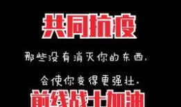 我们必胜在线观看,揭秘胜利之路的精彩瞬间