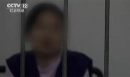 广东监狱爆料事件始末视频,真相与争议的交织