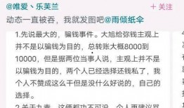 网友爆料网恋视频大全图片,揭秘网友爆料的视频大全与图片故事