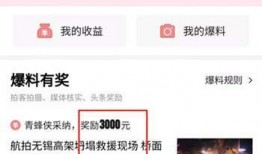 张先生今日头条爆料,揭秘事件背后惊人真相