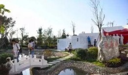 周口森林公园爆料视频最新
