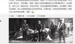 广东监狱爆料事件始末视频,真相与争议的交织