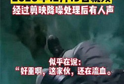 西湖爆料冲突事件视频,视频揭示惊人一幕