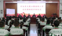 松柏道馆爆料视频大全集,揭秘武术传奇背后的故事