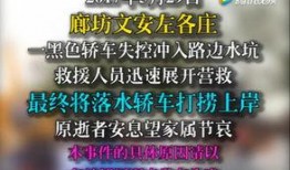 网友爆料网恋视频大全图片,揭秘网友爆料的视频大全与图片故事