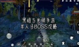 黑金甲虫爆料视频大全集,揭秘幕后真相与精彩瞬间