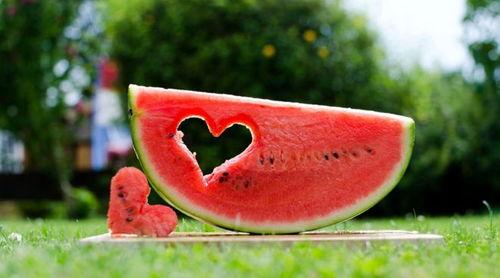 娱乐吃瓜酱关于诗的作品